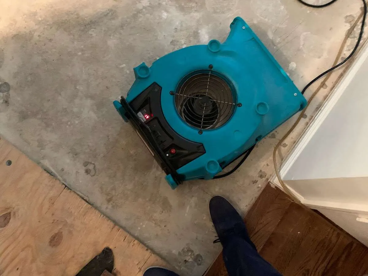 Air mover drying subfloor during Commercial Water Damage Restoration in Paris